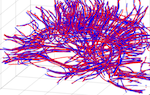 Picture for White matter fiber representation using continuous dictionary learning