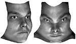 Picture for Fusion of 2D and 3D data in three-dimensional face recognition