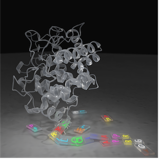 Picture for Twists in the protein folding dogma