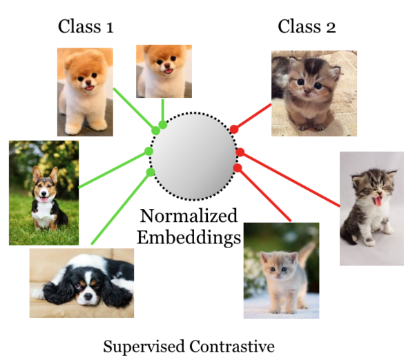 Picture for Improve contrastive learning for supervised learning